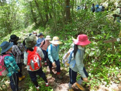 足慣らしで大明神沢へ出発