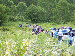 山頂目指して草をかき分け…