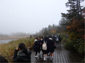 奥入瀬渓流の散策