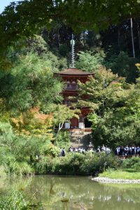 浄瑠璃寺の三重塔と庭園